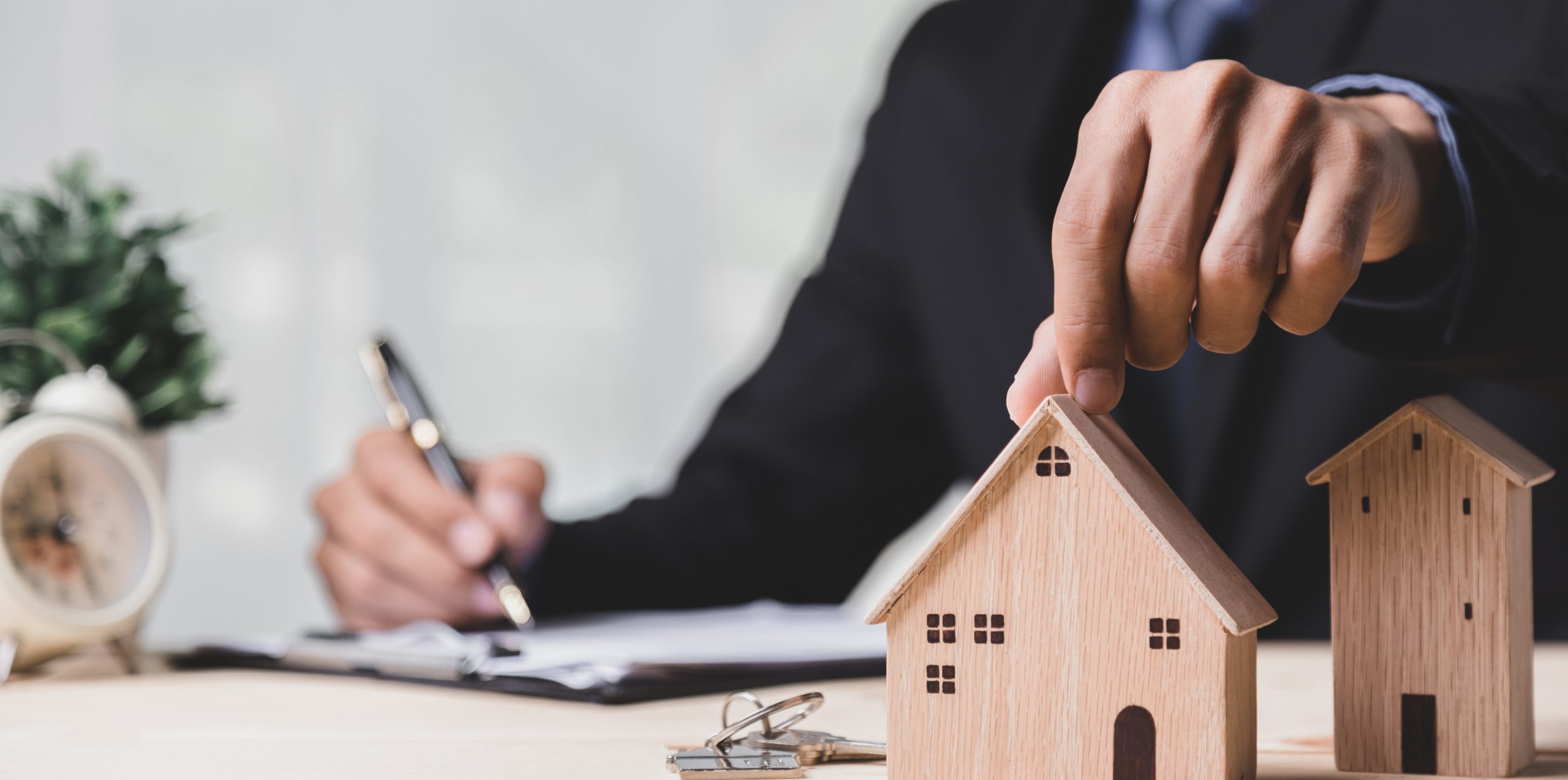 Challenging Business Plans: Assurance Needs
